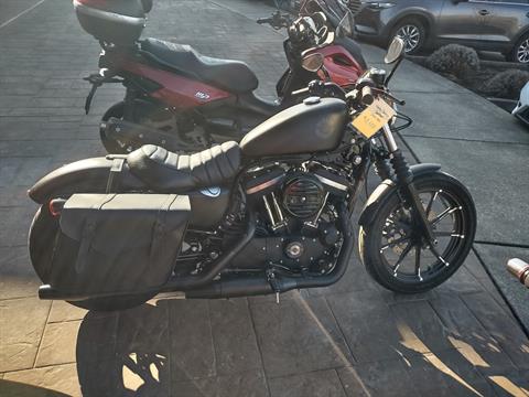 2020 Harley-Davidson Iron 883™ in Ferndale, Washington - Photo 1