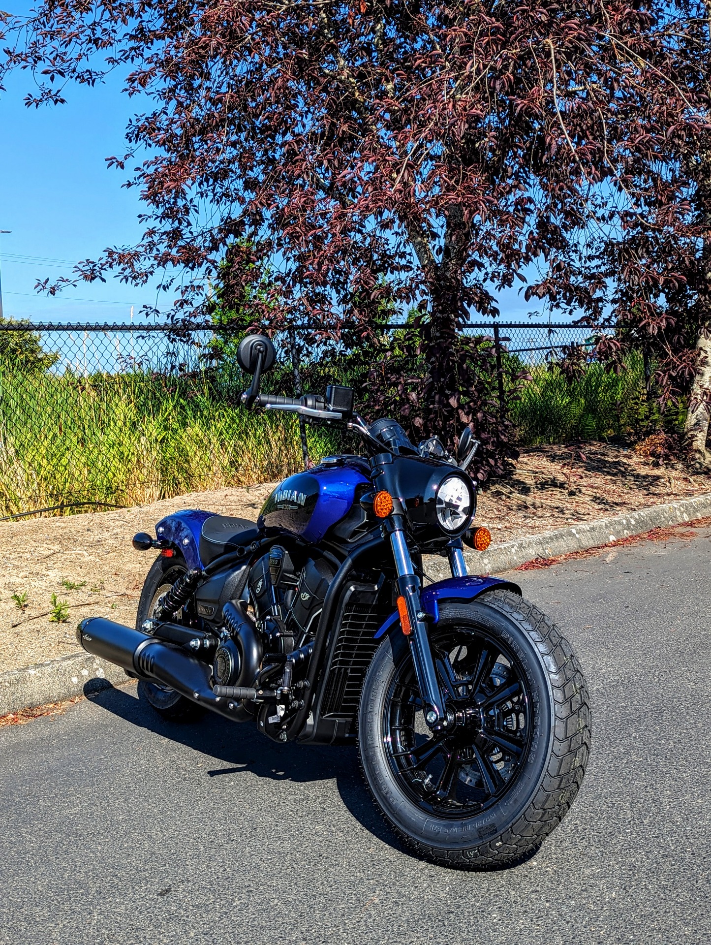 2025 Indian Motorcycle Scout® Bobber Limited +Tech in Ferndale, Washington - Photo 1