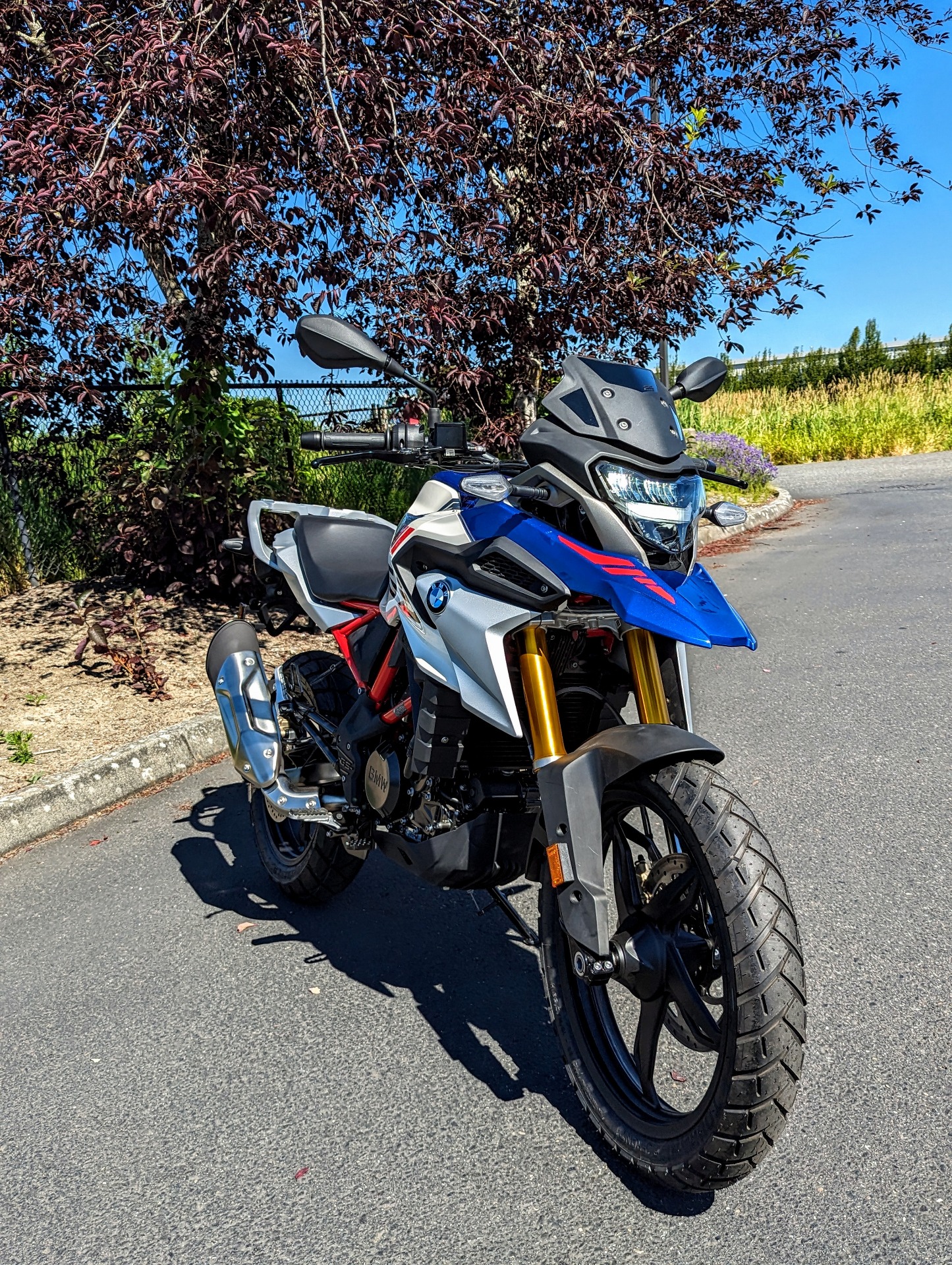 2024 BMW G 310 GS in Ferndale, Washington - Photo 1