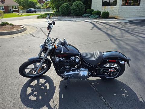 2023 Harley-Davidson Softail® Standard in Lynchburg, Virginia - Photo 4