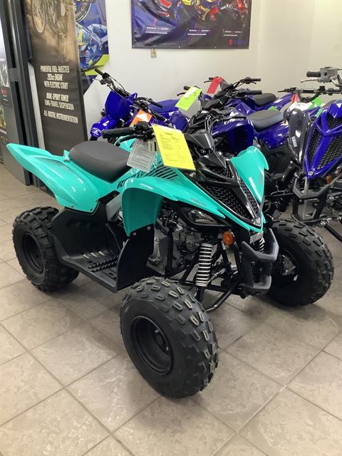 2024 Yamaha Raptor 110 in Hickory, North Carolina - Photo 1