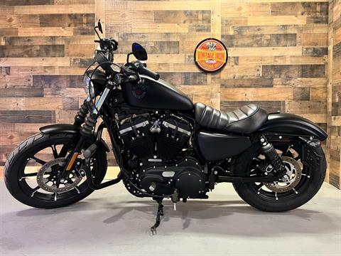 2019 Harley-Davidson Iron 883™ in Westfield, Massachusetts - Photo 2