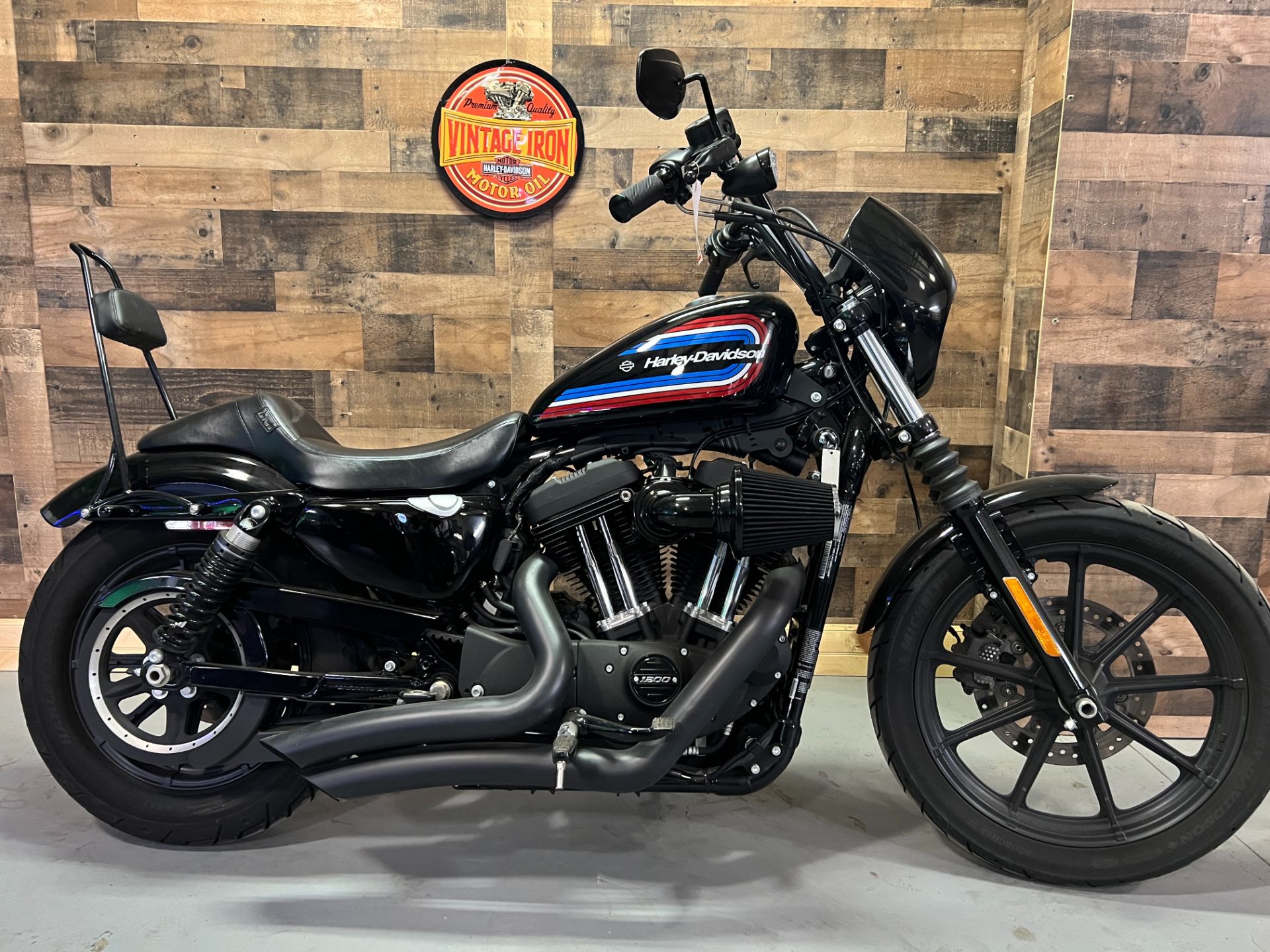 2021 Harley-Davidson Iron 1200™ in Westfield, Massachusetts - Photo 1