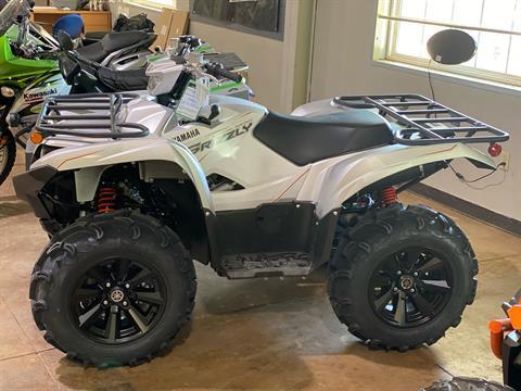 2022 Yamaha Grizzly EPS SE in Roopville, Georgia - Photo 1