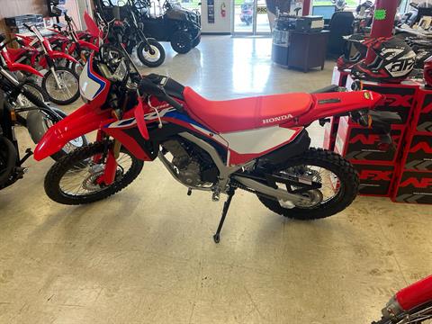 2023 Honda CRF300L ABS in Greeneville, Tennessee - Photo 4