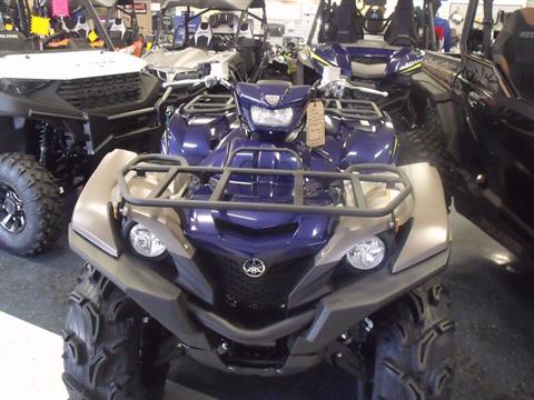 2023 Yamaha Grizzly EPS SE in Carroll, Ohio - Photo 2