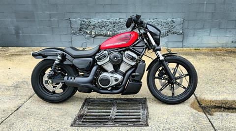2022 Harley-Davidson Nightster™ in Kingsport, Tennessee