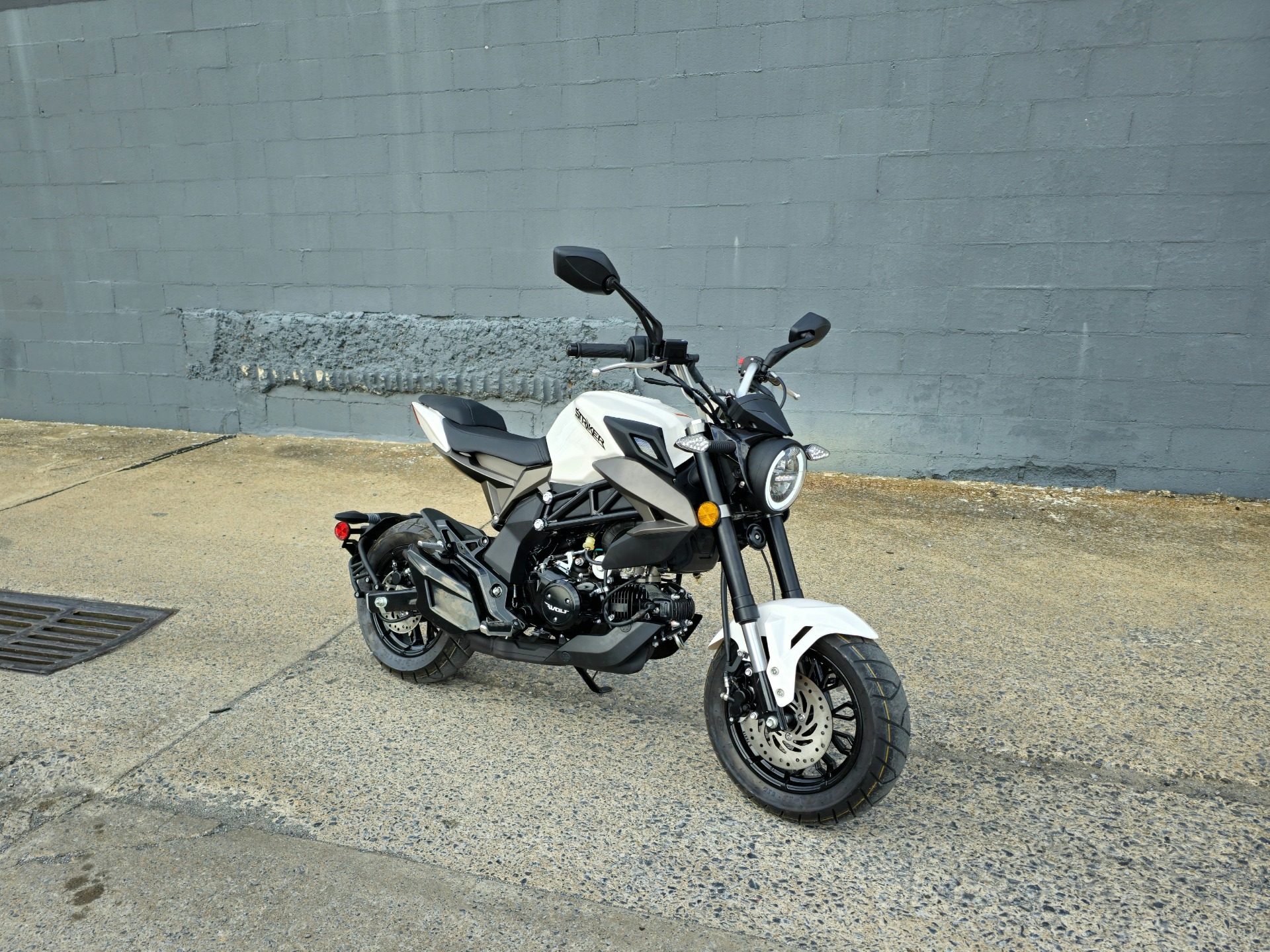 2022 Wolf Brand Scooters Wolf Striker in Kingsport, Tennessee - Photo 12