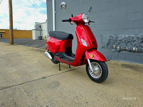 2024 Wolf Brand Scooters Wolf Lucky II in Kingsport, Tennessee - Photo 3