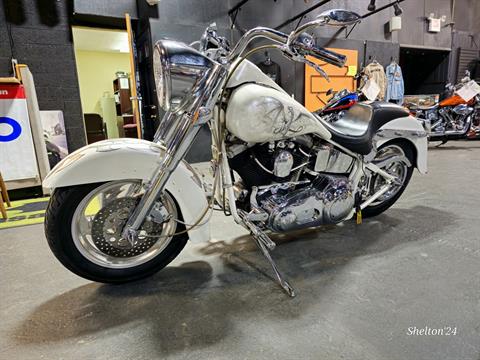 2003 ULTRA DIAMOND PRO SOFTAIL in Kingsport, Tennessee - Photo 3