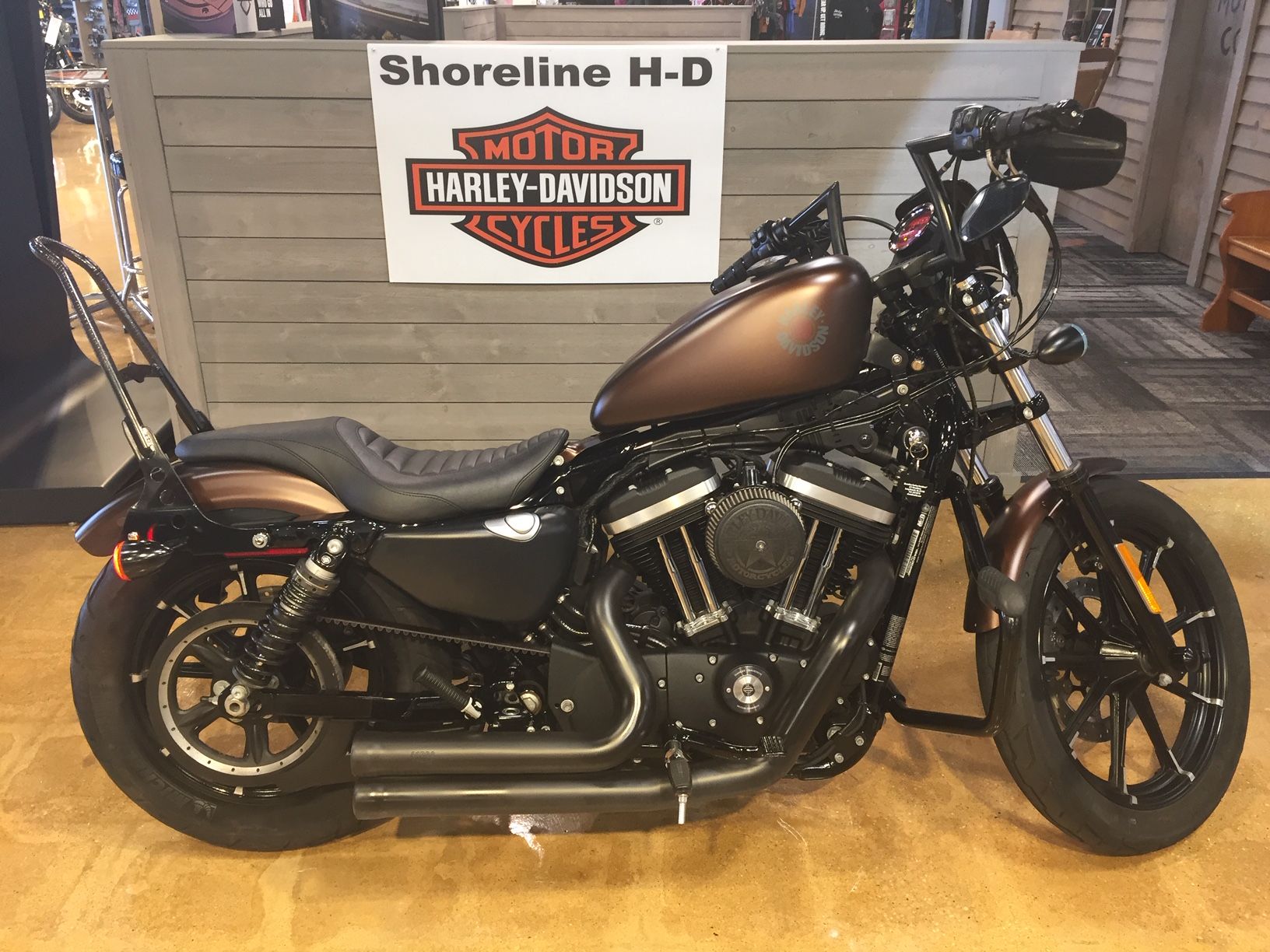 2019 Harley-Davidson IRON 883 in West Long Branch, New Jersey - Photo 3