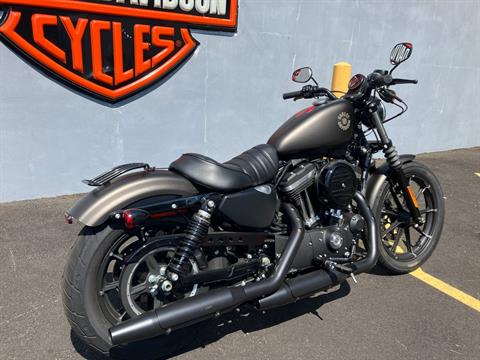 2021 Harley-Davidson IRON 883 in West Long Branch, New Jersey - Photo 3