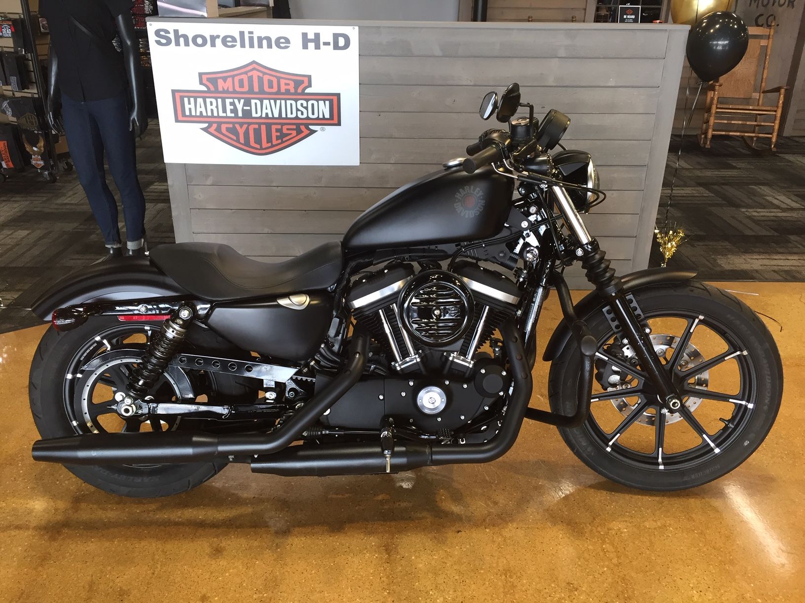 2020 Harley-Davidson IRON 883 in West Long Branch, New Jersey - Photo 1