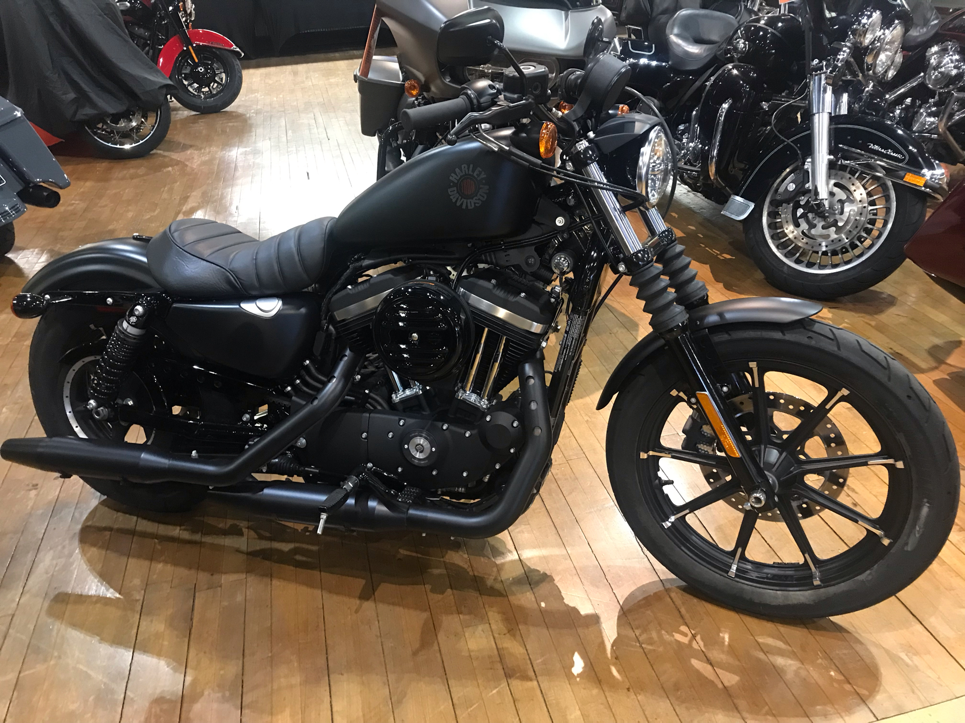 2021 Harley-Davidson IRON 883 in Lakewood, New Jersey - Photo 1
