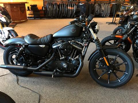 2021 Harley-Davidson IRON 883 in Lakewood, New Jersey - Photo 1