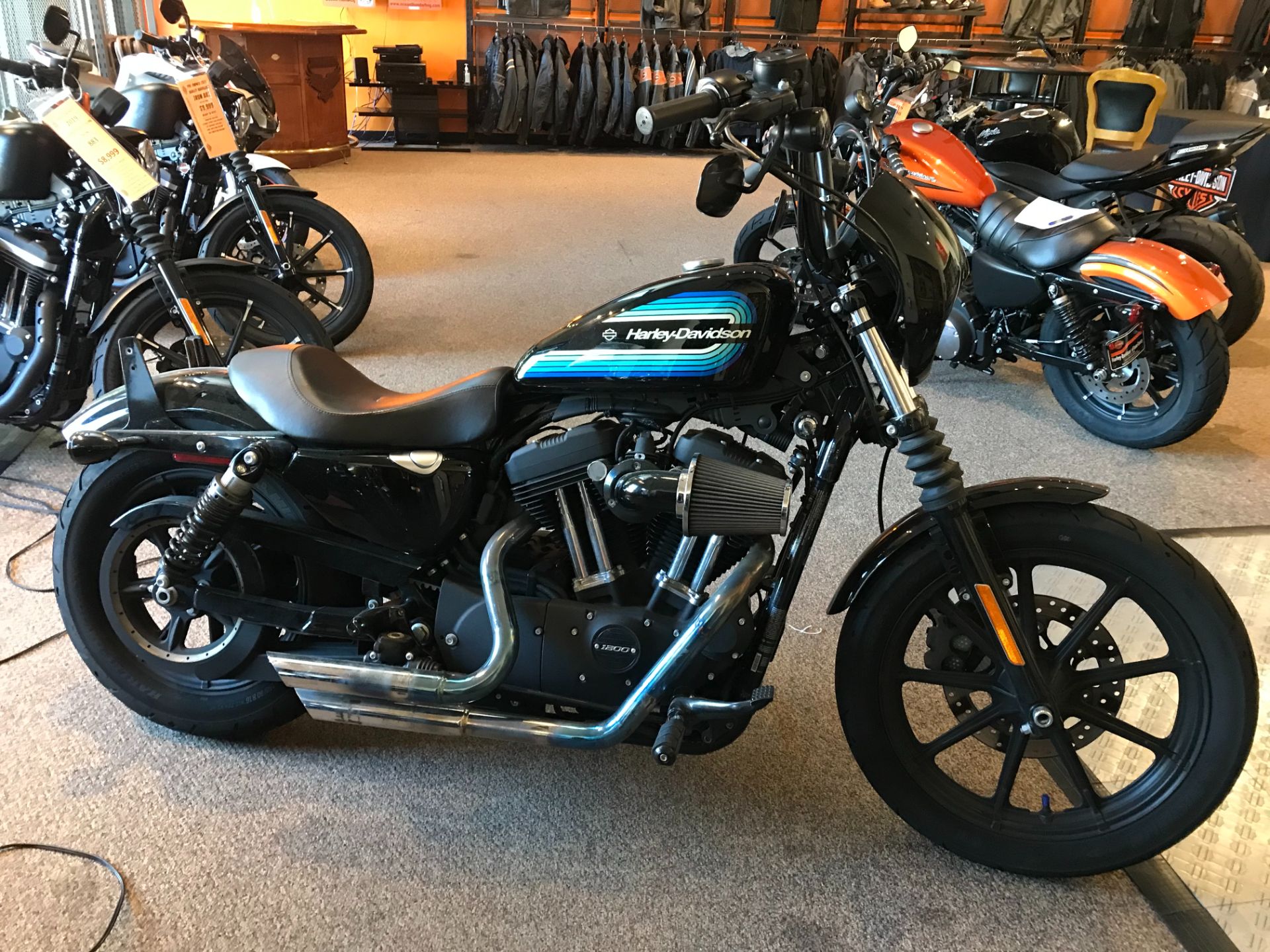 2019 Harley-Davidson 1200 IRON in Lakewood, New Jersey - Photo 1