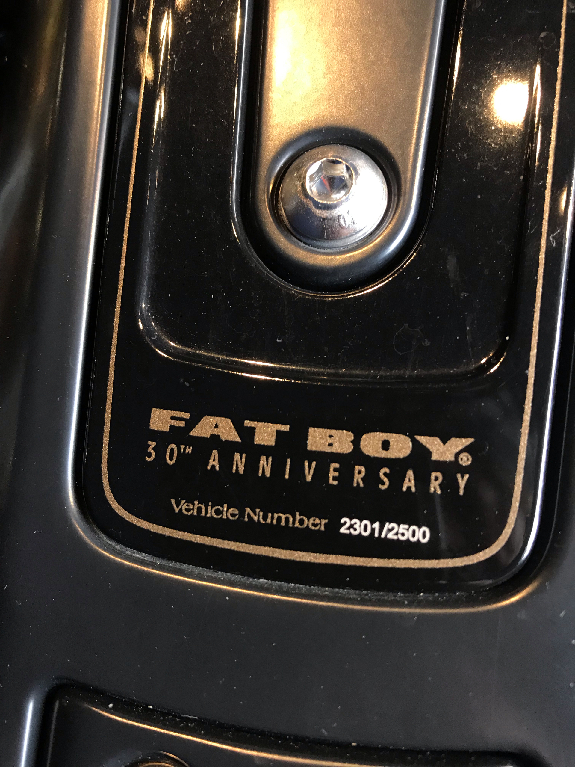 2020 Harley-Davidson FATBOY 30TH ANNIVERSARY in Lakewood, New Jersey - Photo 3