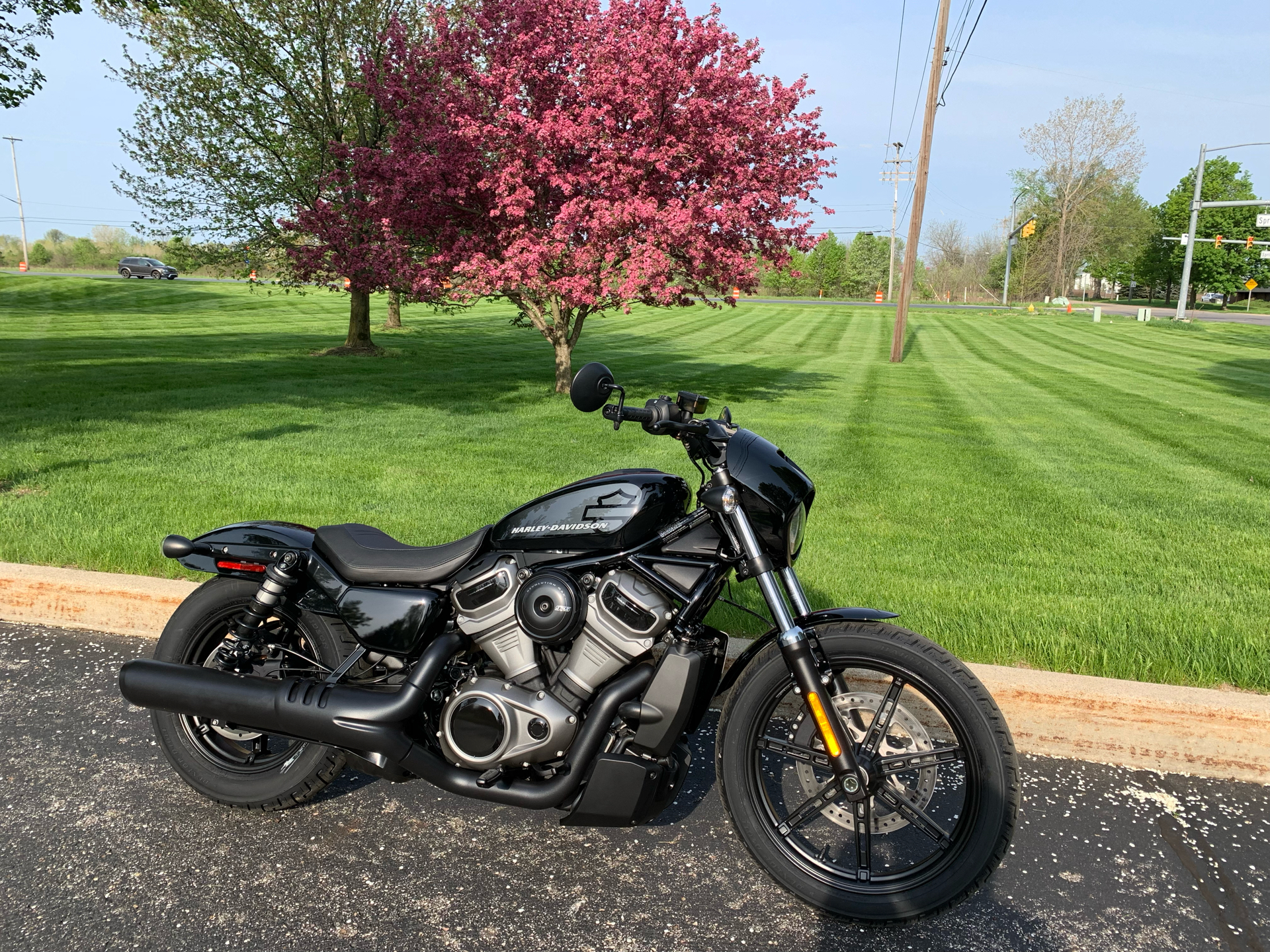 2022 Harley-Davidson Nightster™ in Portage, Michigan - Photo 12