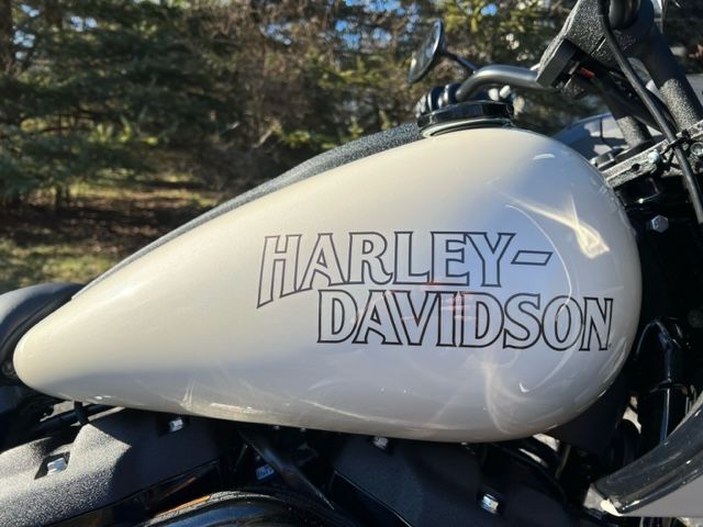 2023 Harley-Davidson Low Rider® ST in Portage, Michigan - Photo 3