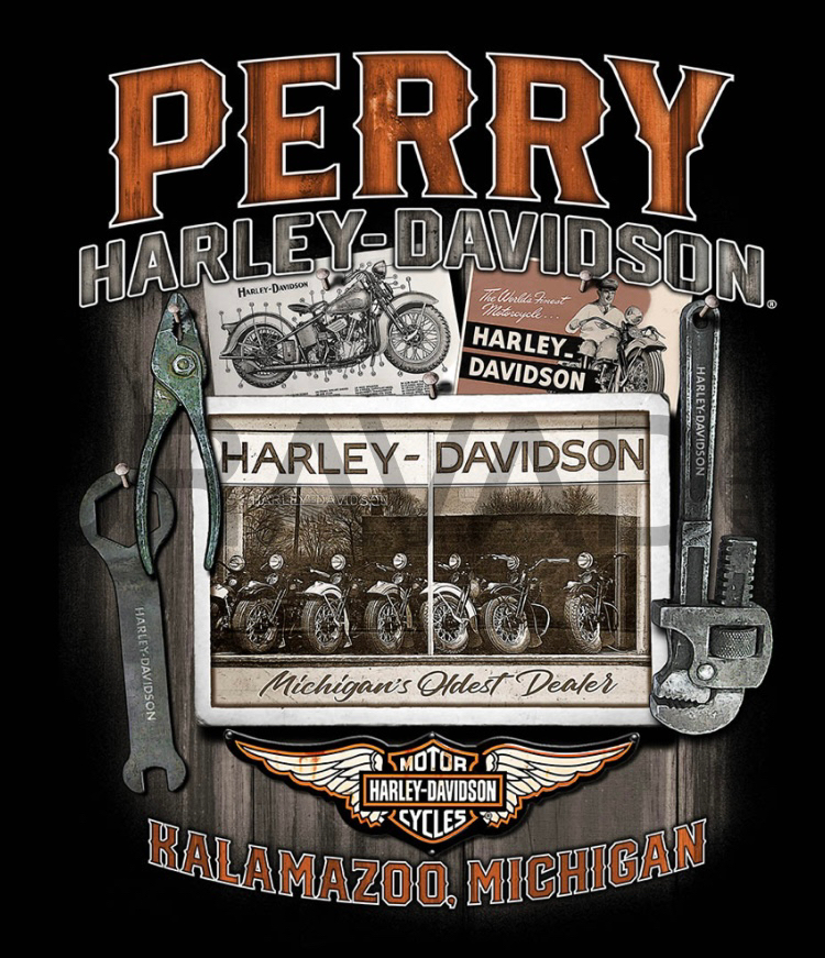 2022 Harley-Davidson Iron 883™ in Portage, Michigan - Photo 13