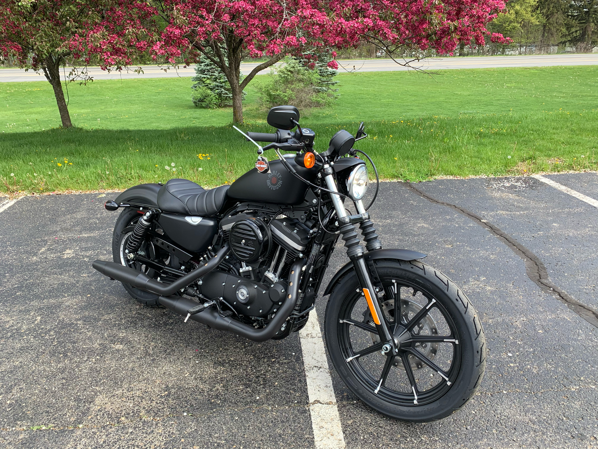 2022 Harley-Davidson Iron 883™ in Portage, Michigan - Photo 2