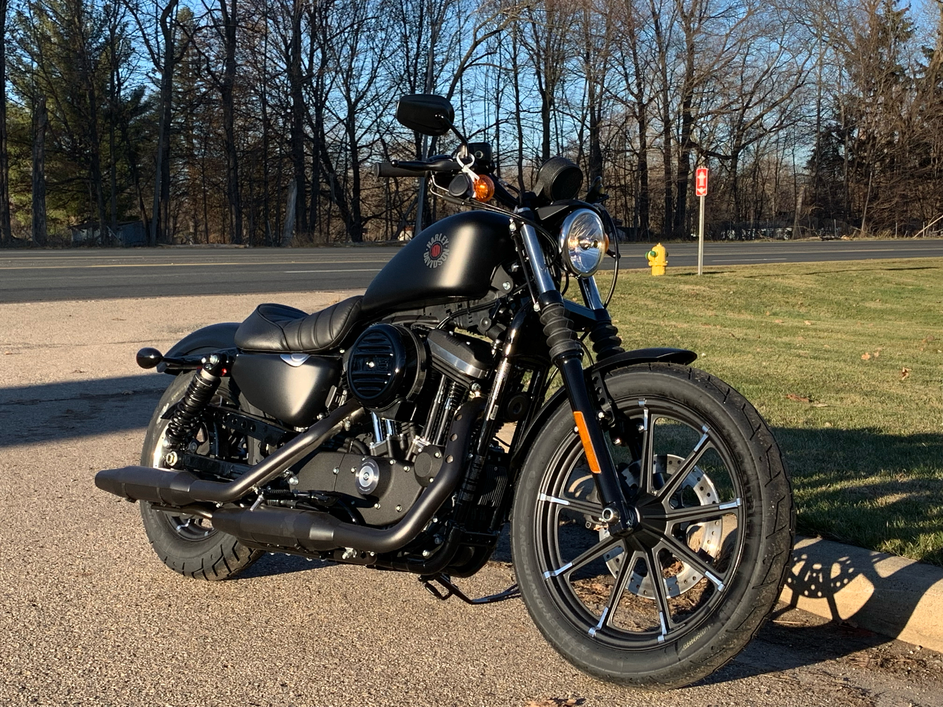 2022 Harley-Davidson Iron 883™ in Portage, Michigan - Photo 11