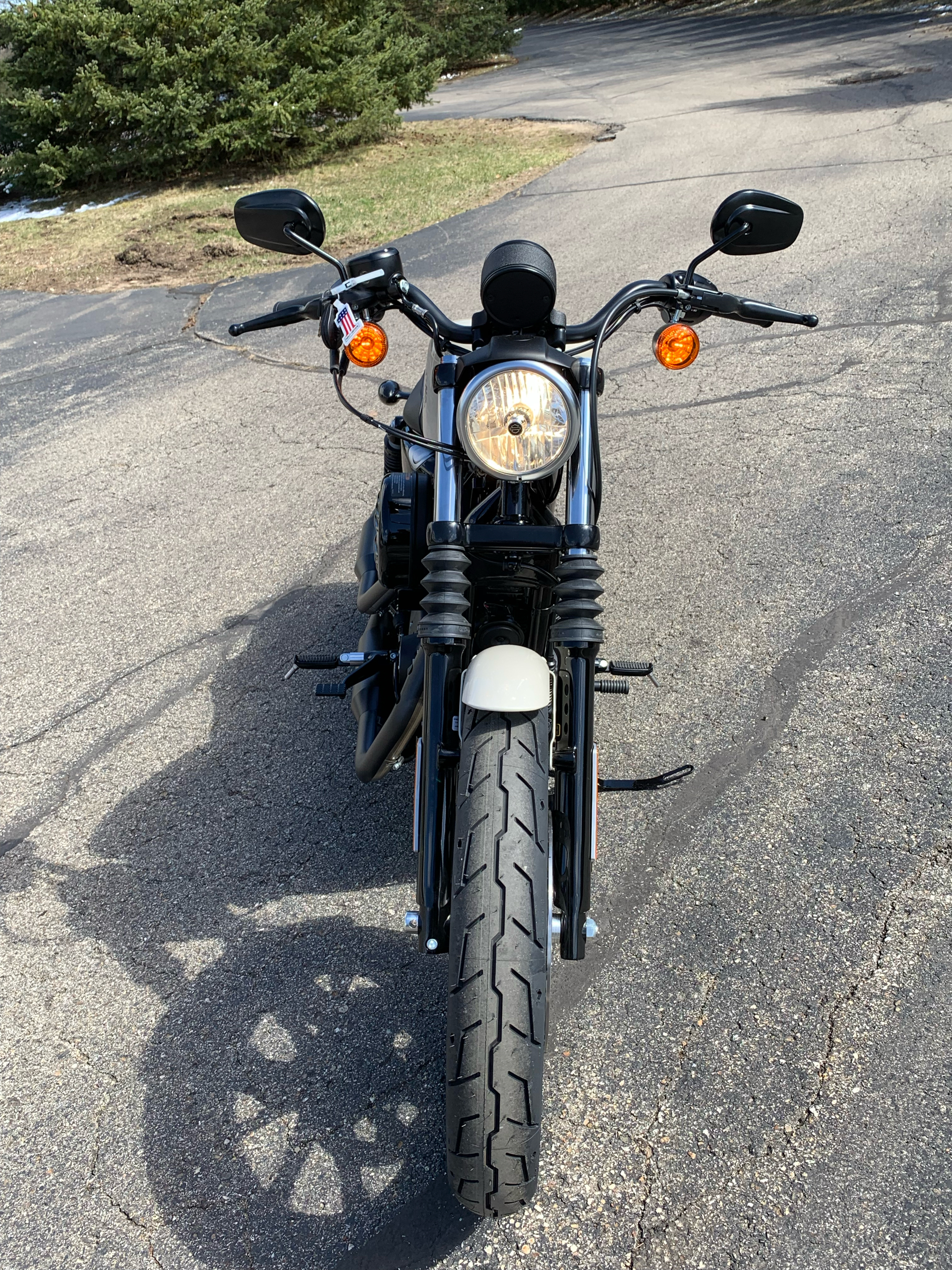 2022 Harley-Davidson Iron 883™ in Portage, Michigan - Photo 9