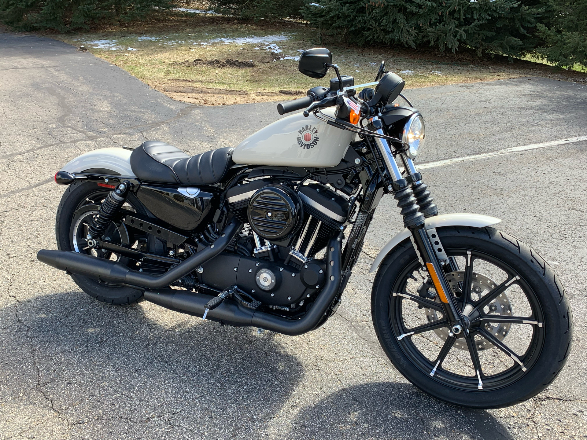 2022 Harley-Davidson Iron 883™ in Portage, Michigan - Photo 10