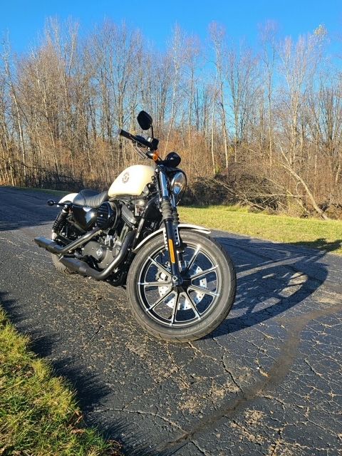 2022 Harley-Davidson Iron 883™ in Portage, Michigan - Photo 3