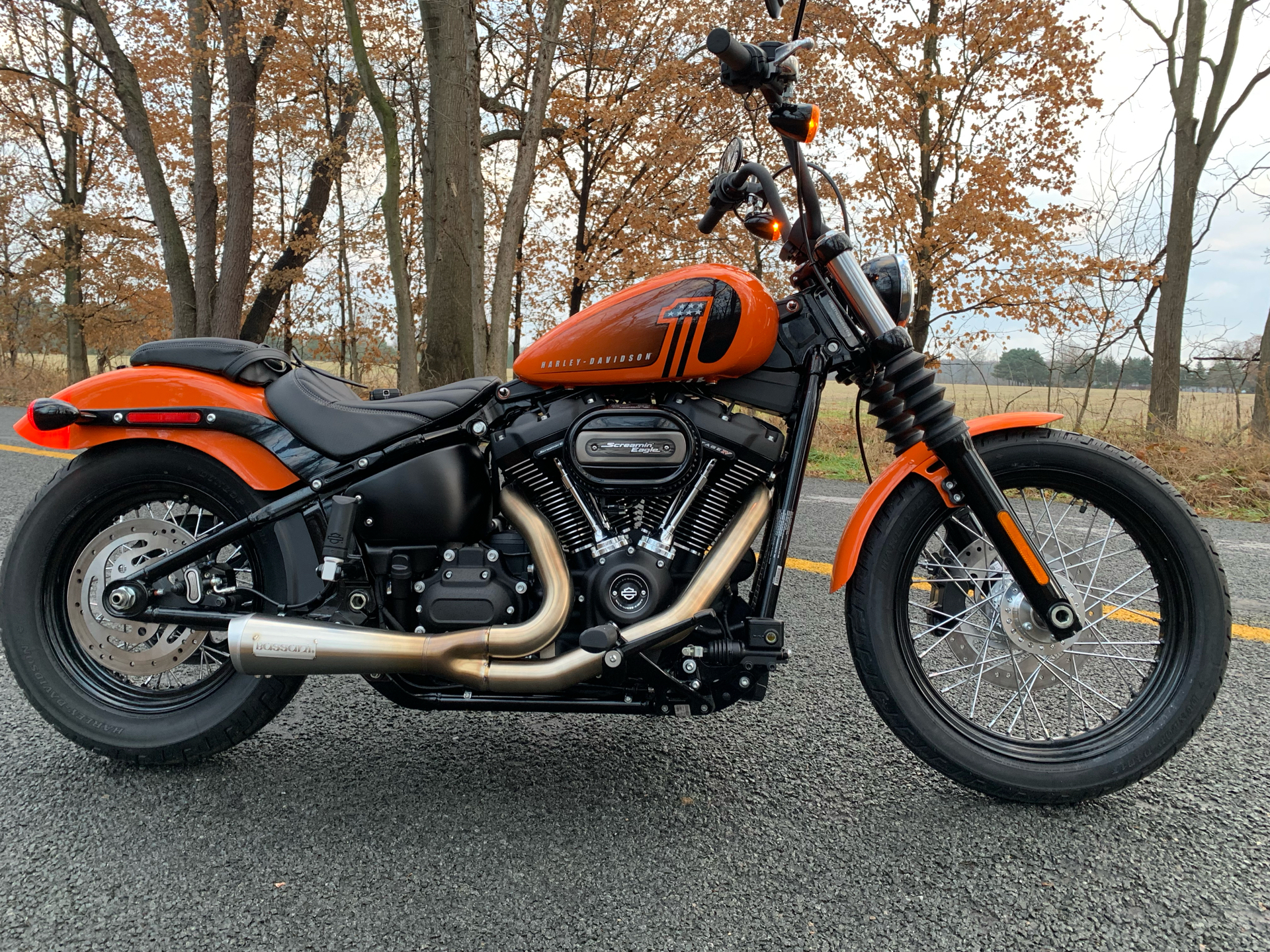 2021 Harley-Davidson Street Bob® 114 in Portage, Michigan - Photo 1
