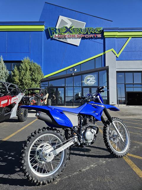 2023 Yamaha TT-R230 in Rexburg, Idaho - Photo 3