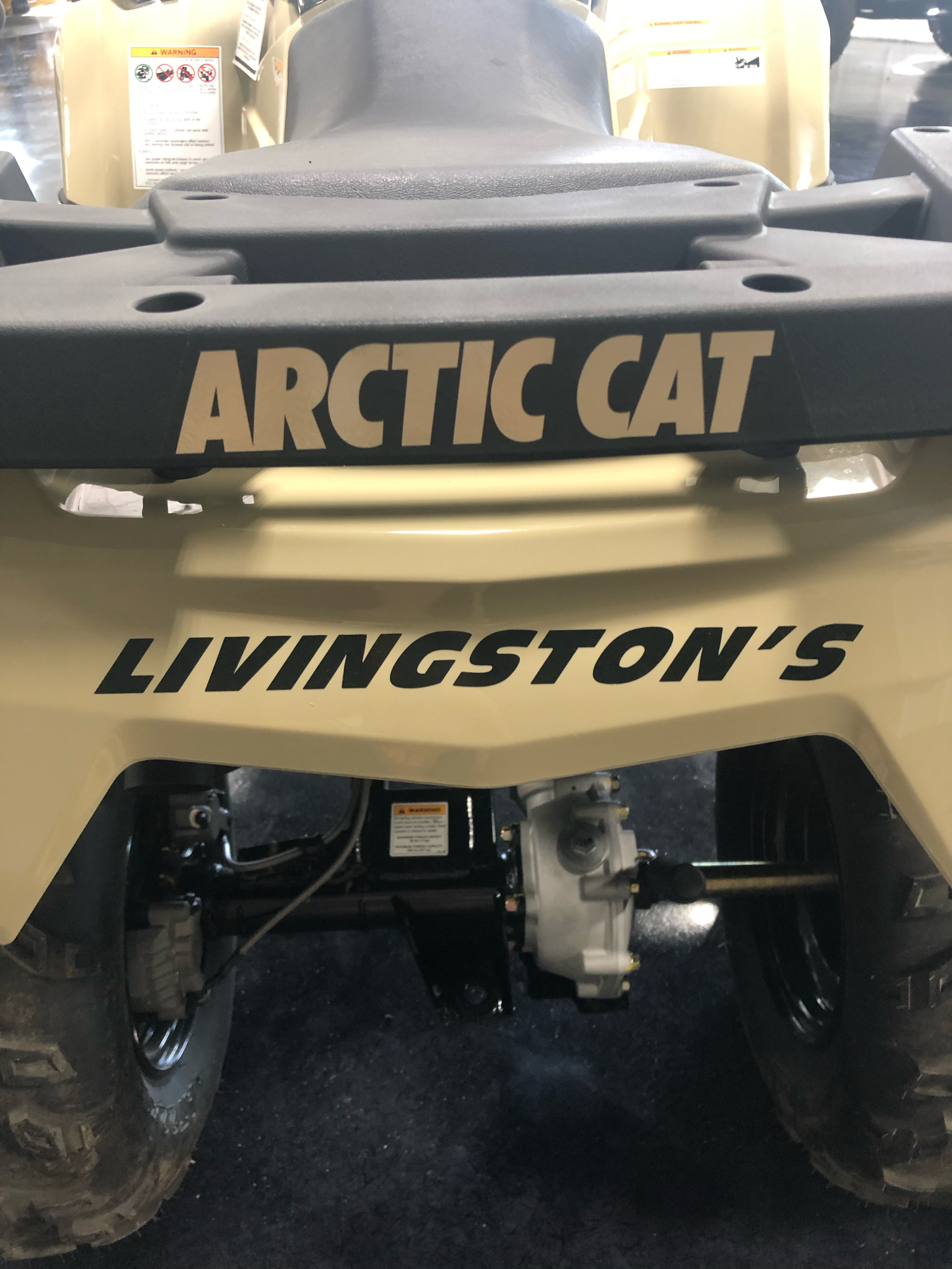 2022 Arctic Cat Alterra 300 in Hillsborough, New Hampshire - Photo 6