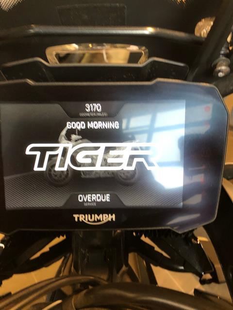 2021 Triumph Tiger 900 GT Pro in Indianapolis, Indiana - Photo 5
