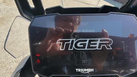 2022 Triumph Tiger 900 Rally Pro in Indianapolis, Indiana - Photo 5