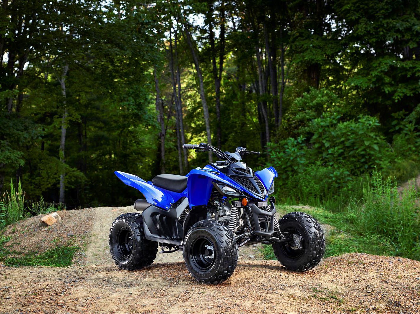 2023 Yamaha Raptor 90 in Queensbury, New York - Photo 4