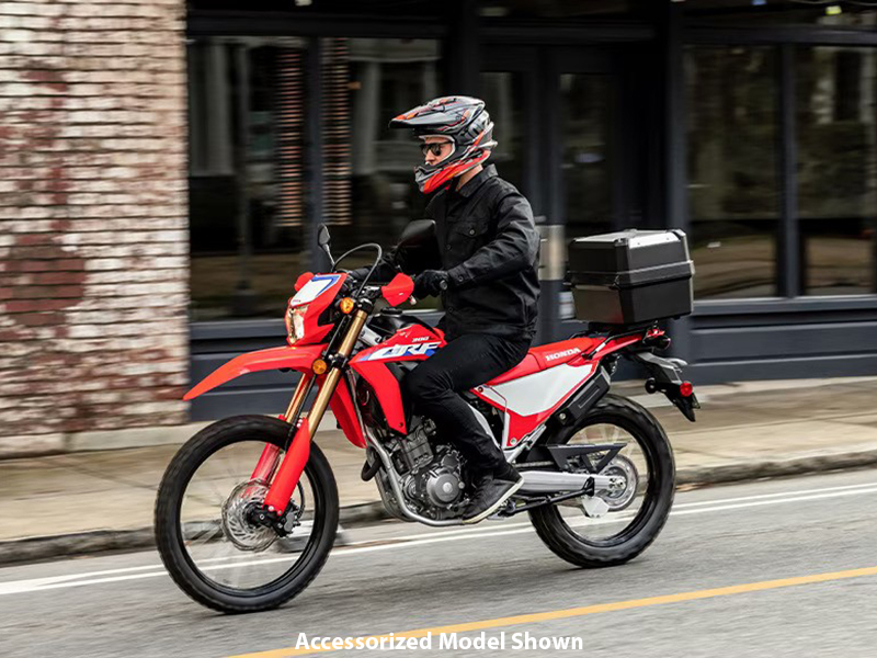 2024 Honda CRF300L ABS in Queensbury, New York - Photo 10