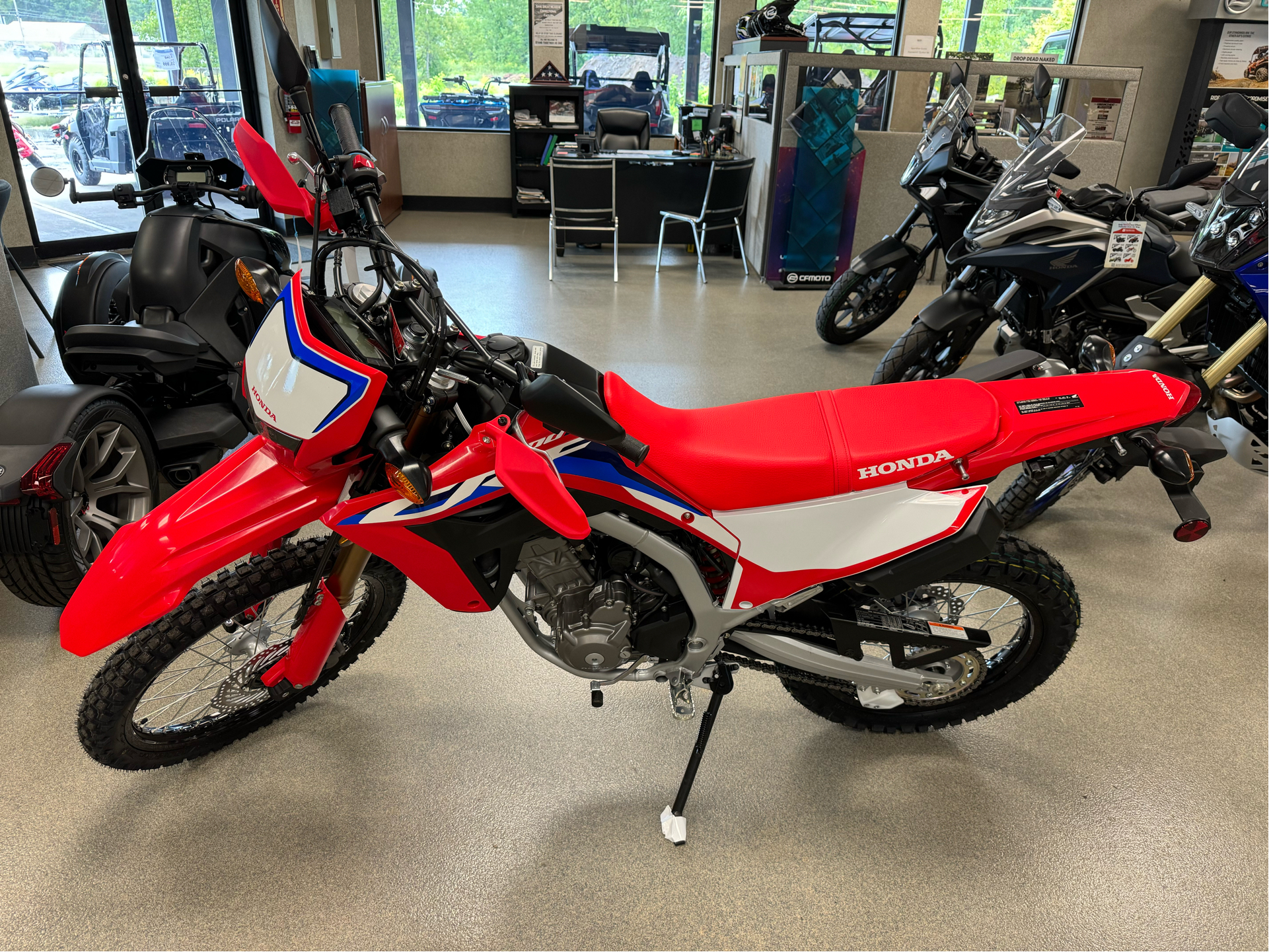 2024 Honda CRF300L ABS in Queensbury, New York - Photo 1