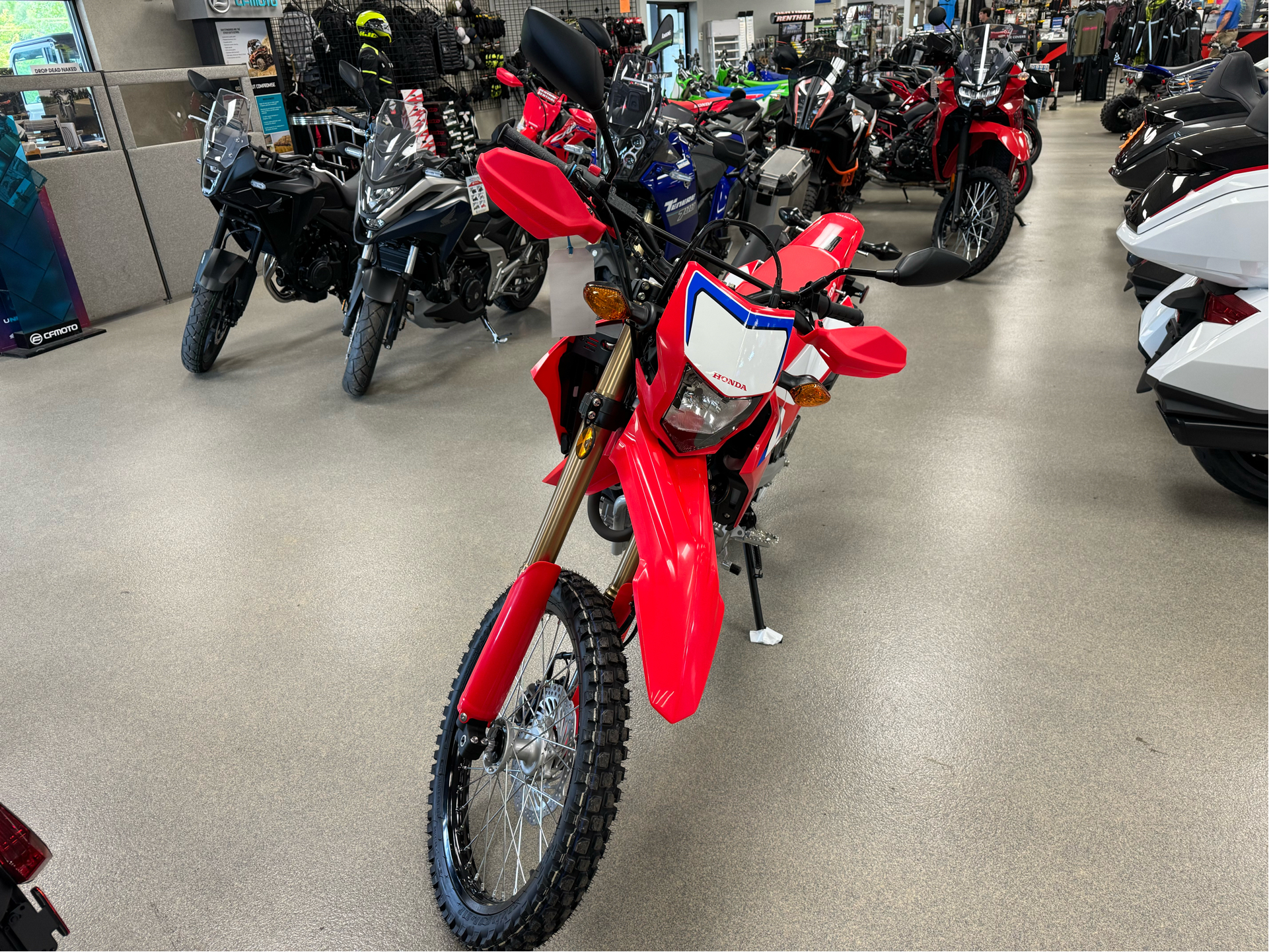 2024 Honda CRF300L ABS in Queensbury, New York - Photo 3