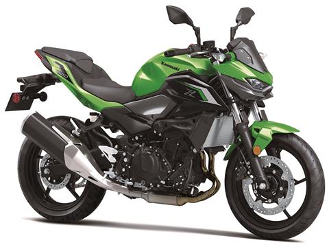 2024 Kawasaki Z500 ABS in Queensbury, New York - Photo 3