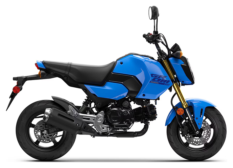 2025 Honda Grom in Queensbury, New York - Photo 1