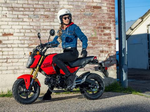 2025 Honda Grom in Queensbury, New York - Photo 13