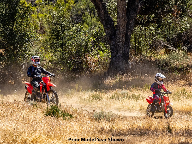 2024 Honda CRF50F in Queensbury, New York - Photo 9