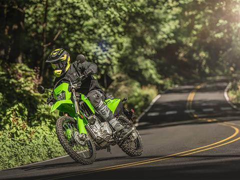 2025 Kawasaki KLX 300 in Queensbury, New York - Photo 4