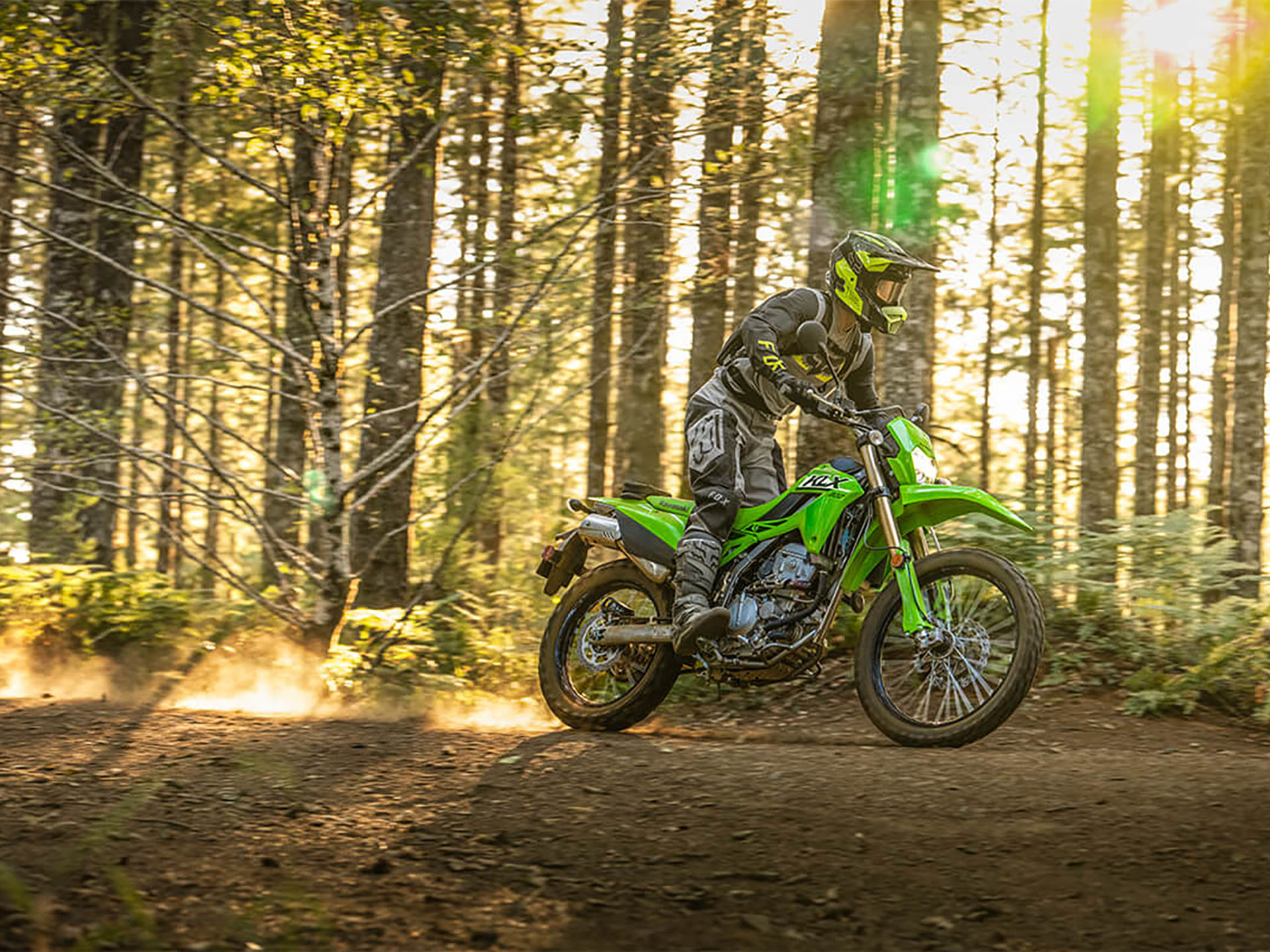 2025 Kawasaki KLX 300 in Queensbury, New York - Photo 7