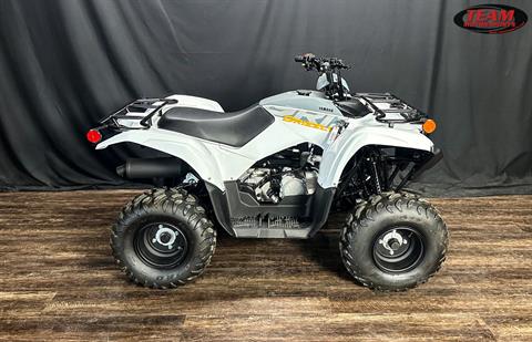 2024 Yamaha Grizzly 90 in De Pere, Wisconsin - Photo 1