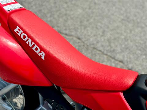 2025 Honda CRF50F in Panama City, Florida - Photo 5