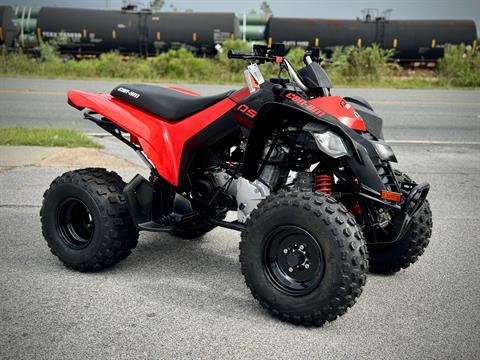 2024 Can-Am DS 250 in Panama City, Florida - Photo 1