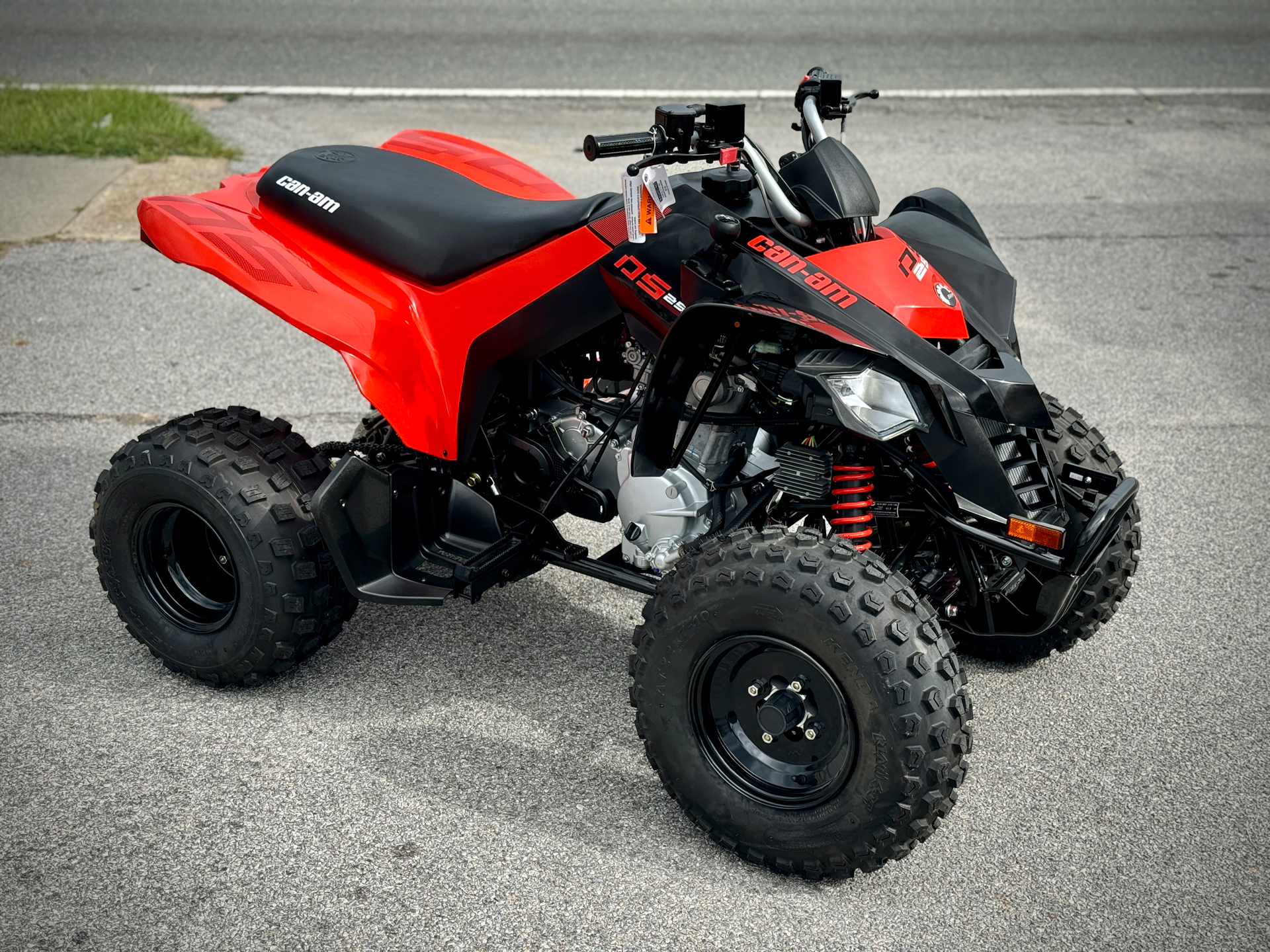 2024 Can-Am DS 250 in Panama City, Florida - Photo 2