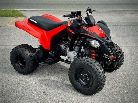 2024 Can-Am DS 250 in Panama City, Florida - Photo 2