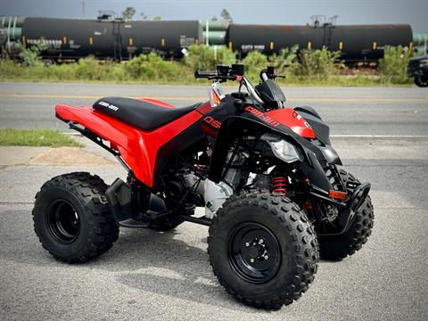 2024 Can-Am DS 250 in Panama City, Florida - Photo 15